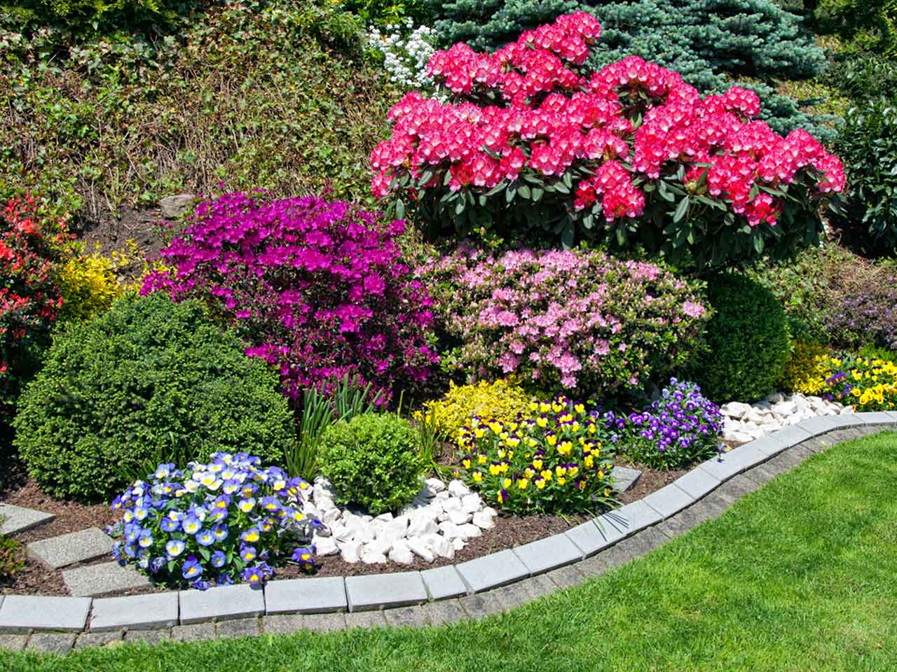 Flower Color Scheme for Backyard