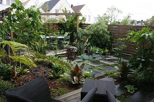 Jungle paradise backyard