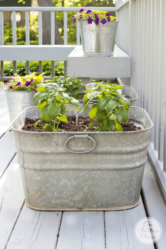Balcony Washtub Herb Garden