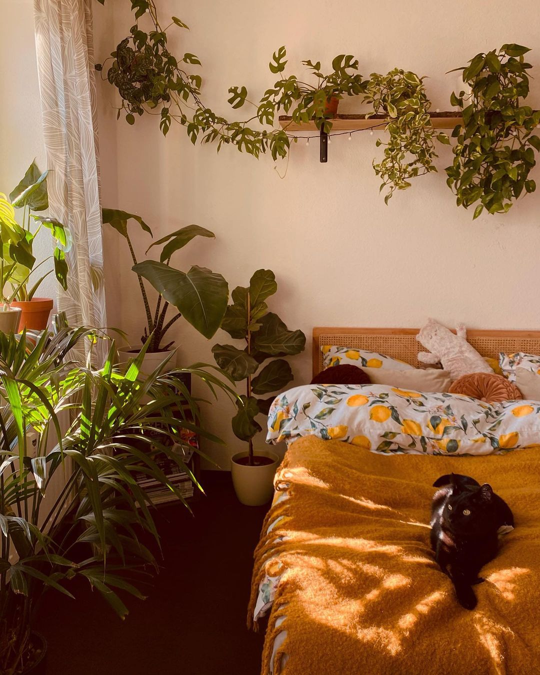 Plants To Bring In The Nature