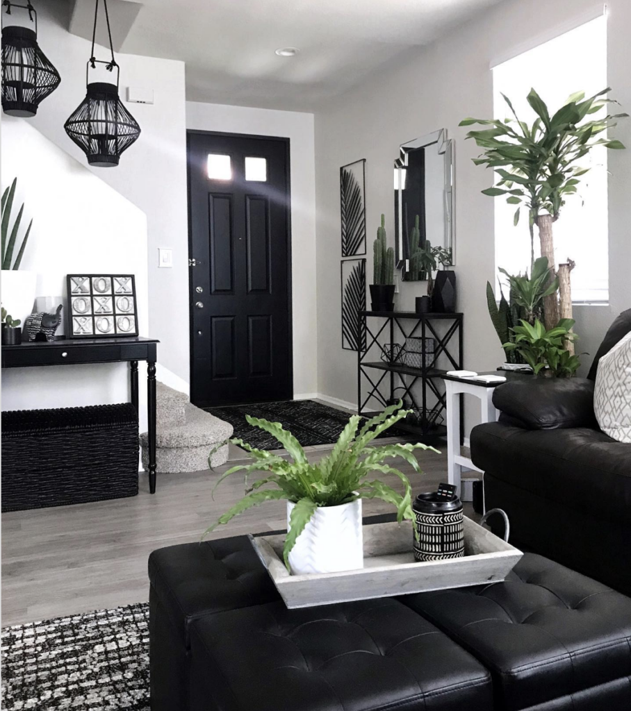 Black Doorway to the Living Room