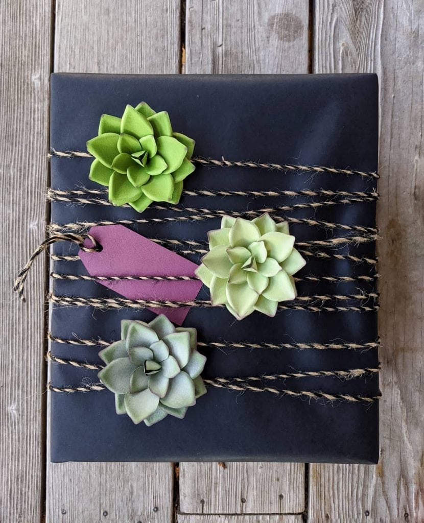 Black Paper Succulent Wrapping