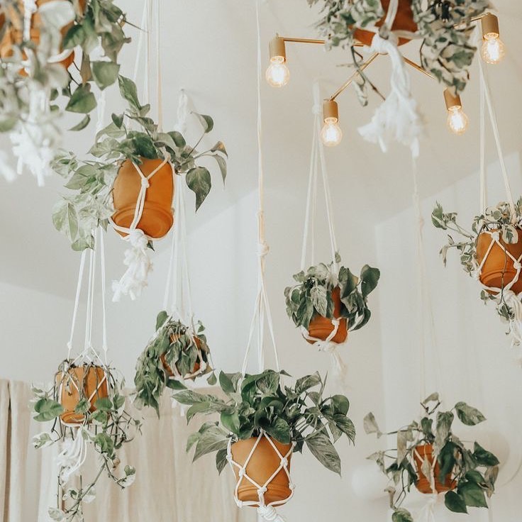 Boho Bedroom Plants