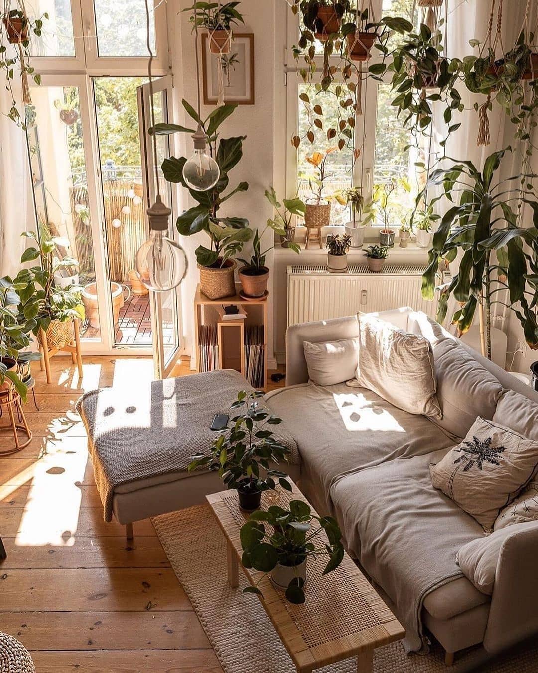 Botanicals in a Sunlit Nook