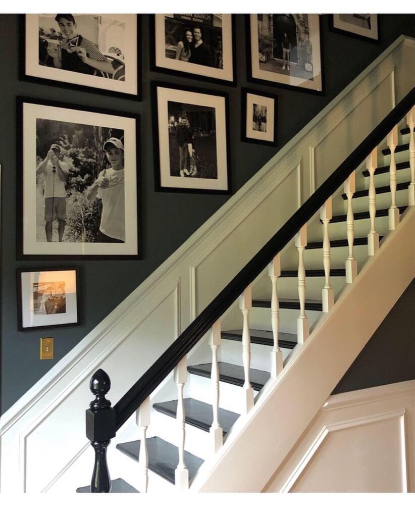 Dark Accent Wall and White Step Wainscoting