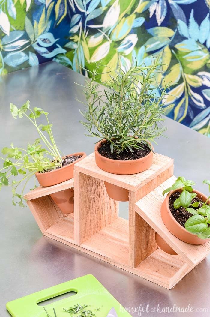 DIY Countertop Herb Garden