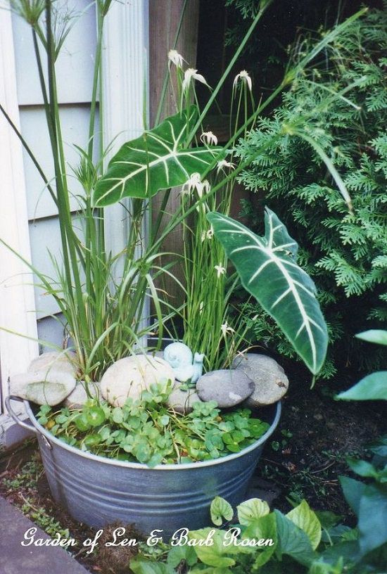 DIY Galvanized Container Pond