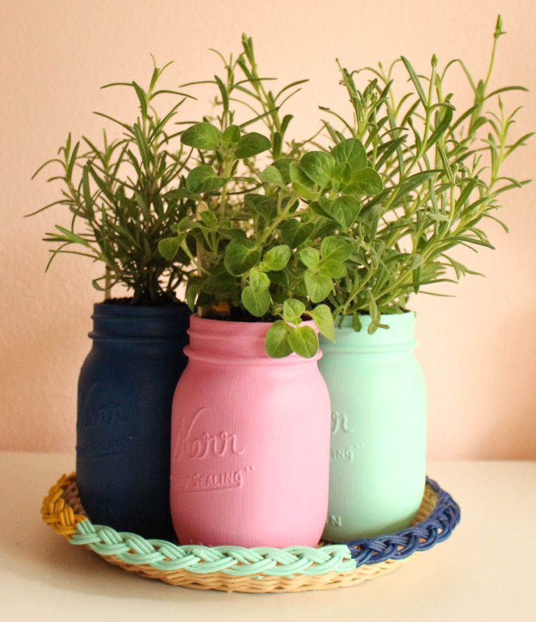 DIY herb garden in mason jars