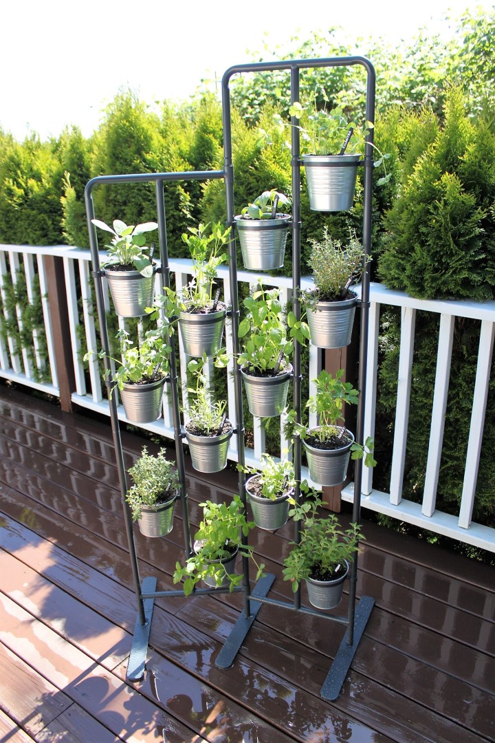 DIY Herbs in a Planter