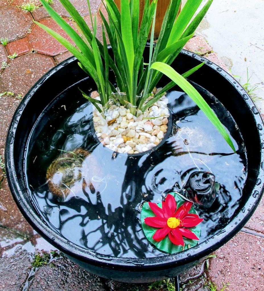 DIY Patio Container Pond