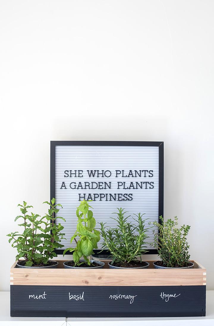 DIY planter for growing herbs