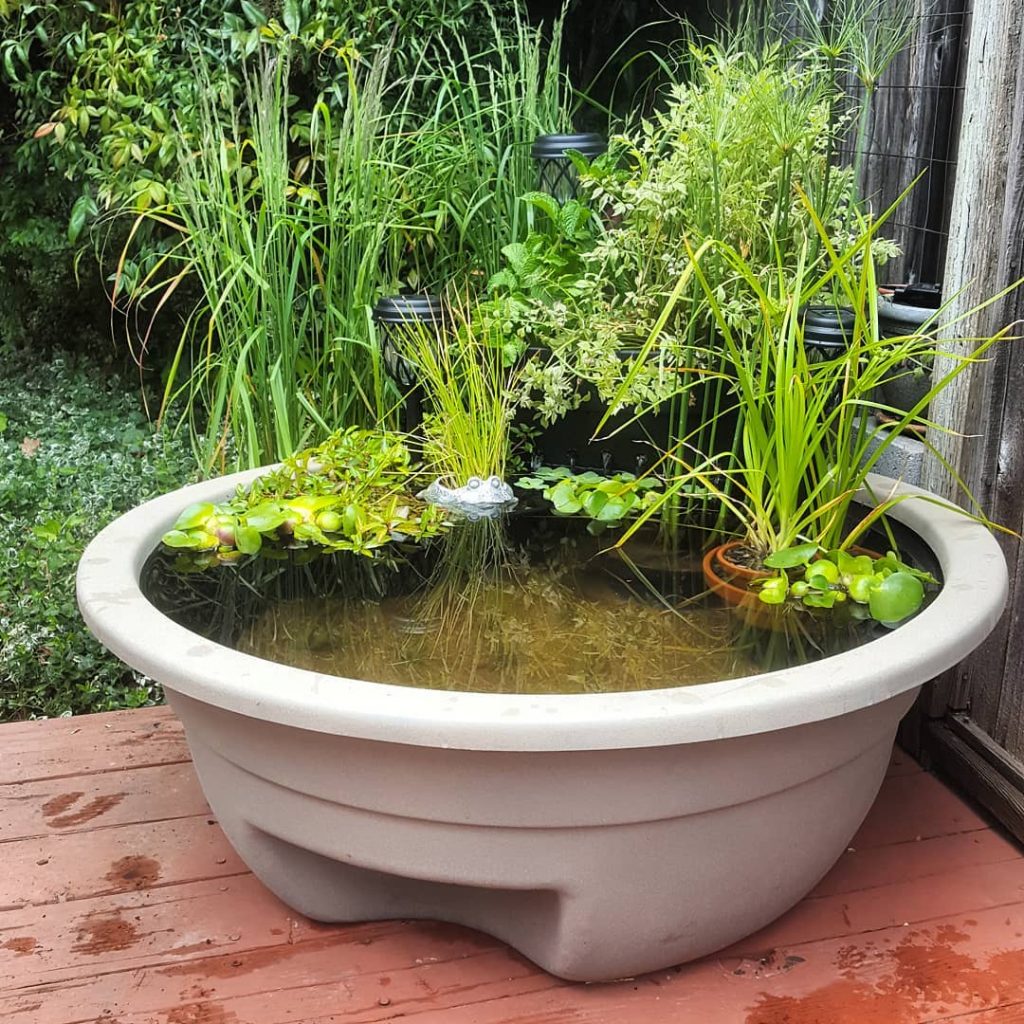 DIY Plastic Tub Pond