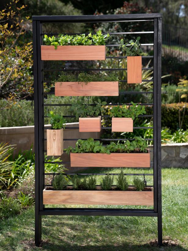 Fence Supported Herb Garden