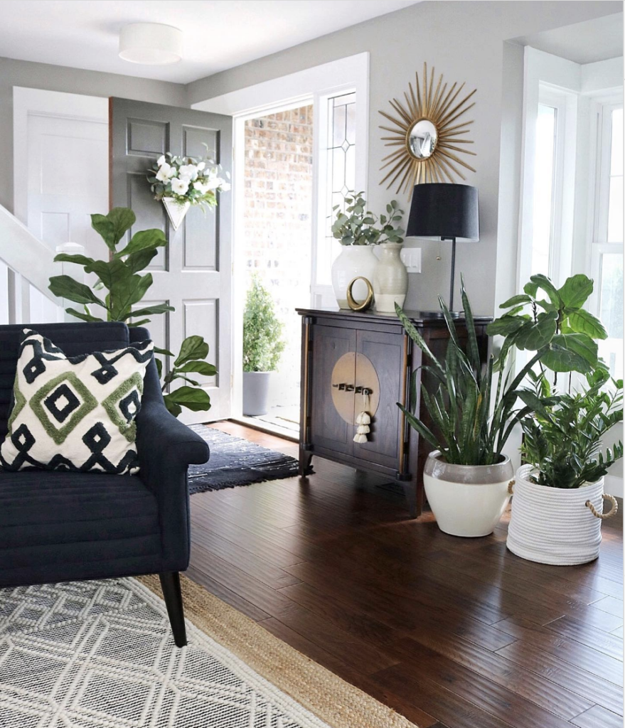 Front Door Opening Into Living Room