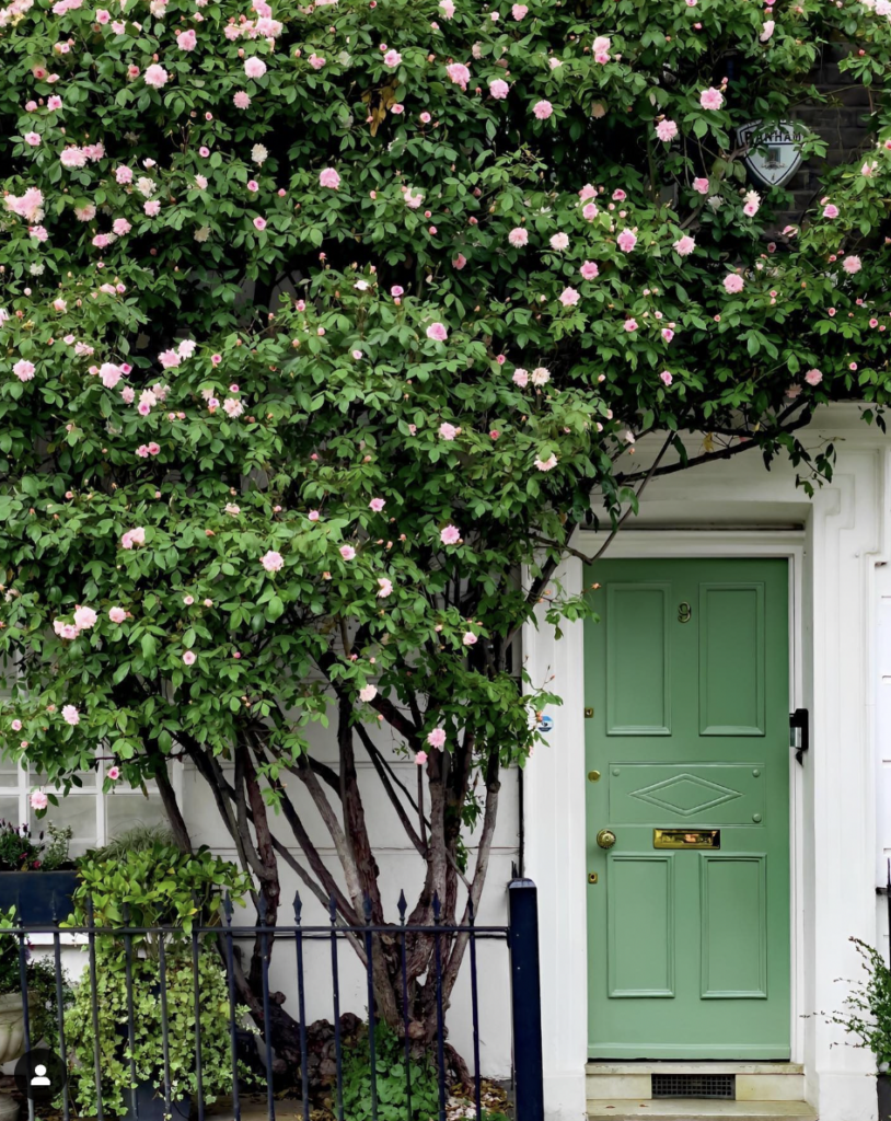 Gold Hardware on a Green Door