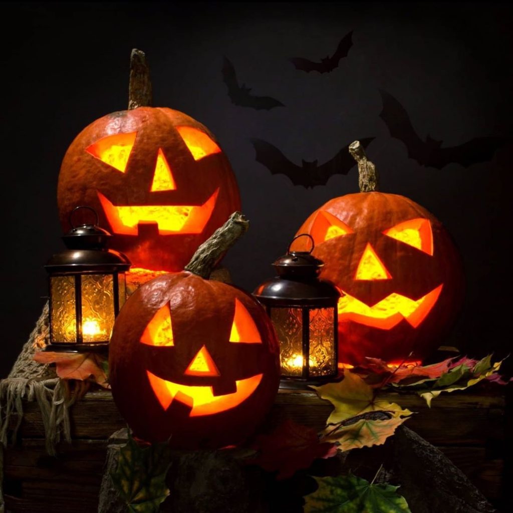 Halloween Jack-o-Lanterns in the Garden