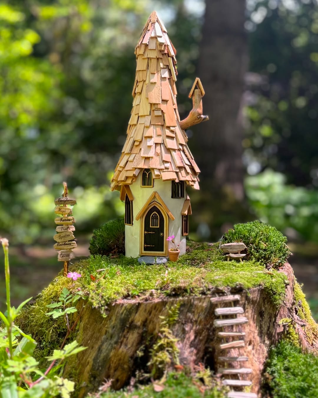 Handmade Tree Stump Fairy House with a Twig Ladder