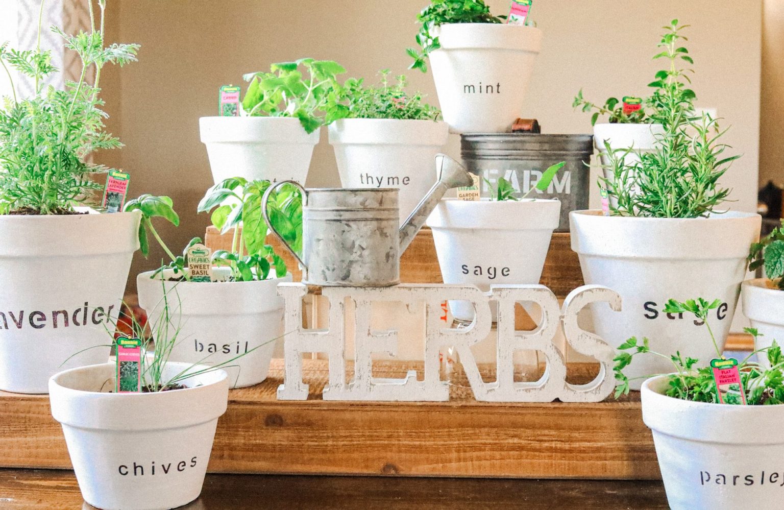 Herb garden for indoors