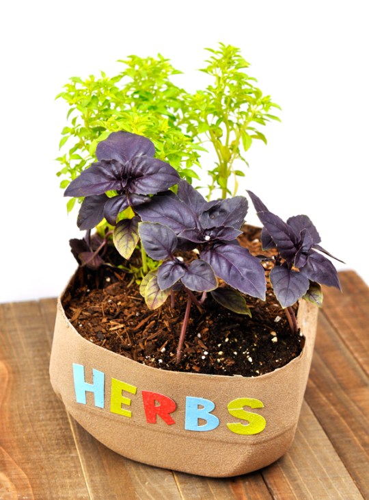 Herb garden from upcycled materials