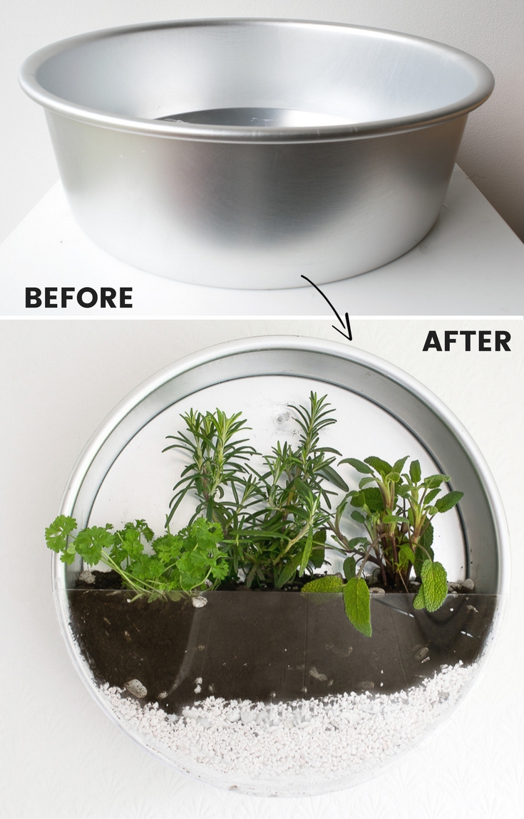 Indoor Baking Tin Herb Garden