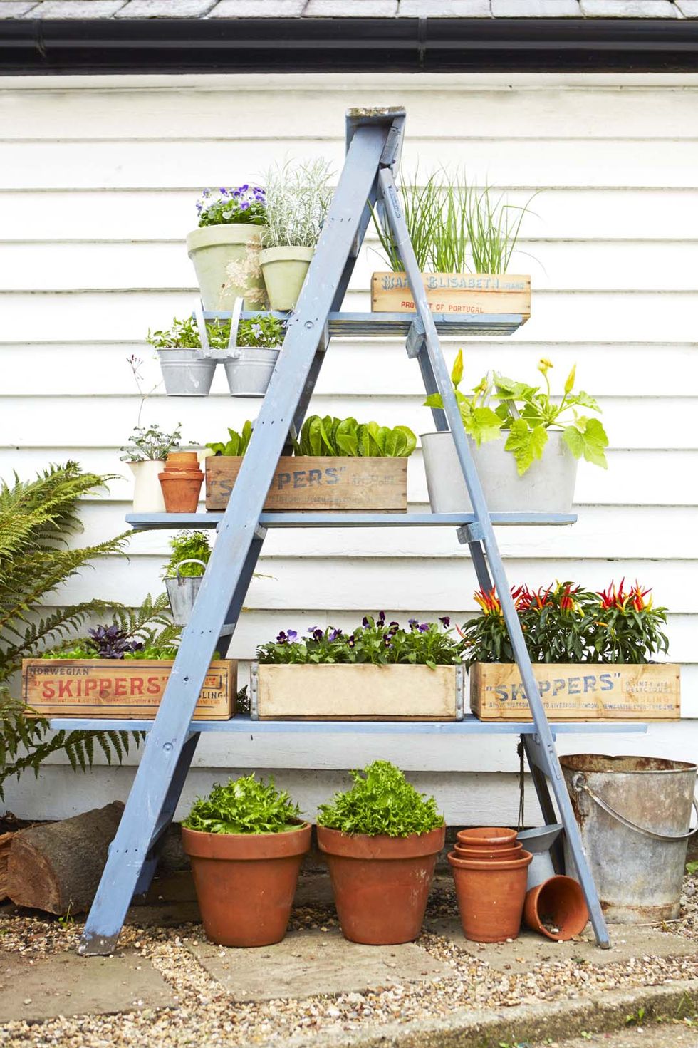 Ladder planter project