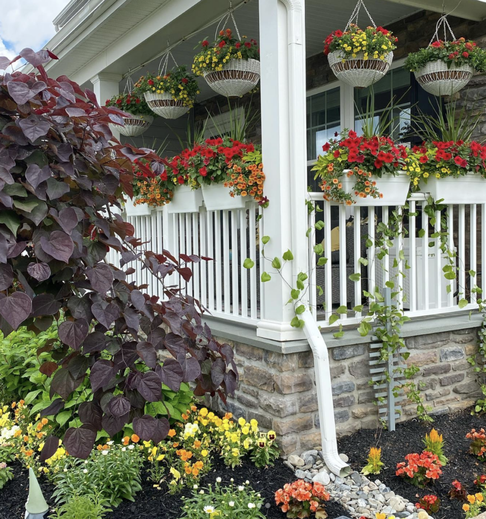 Metal Railing with Flowers