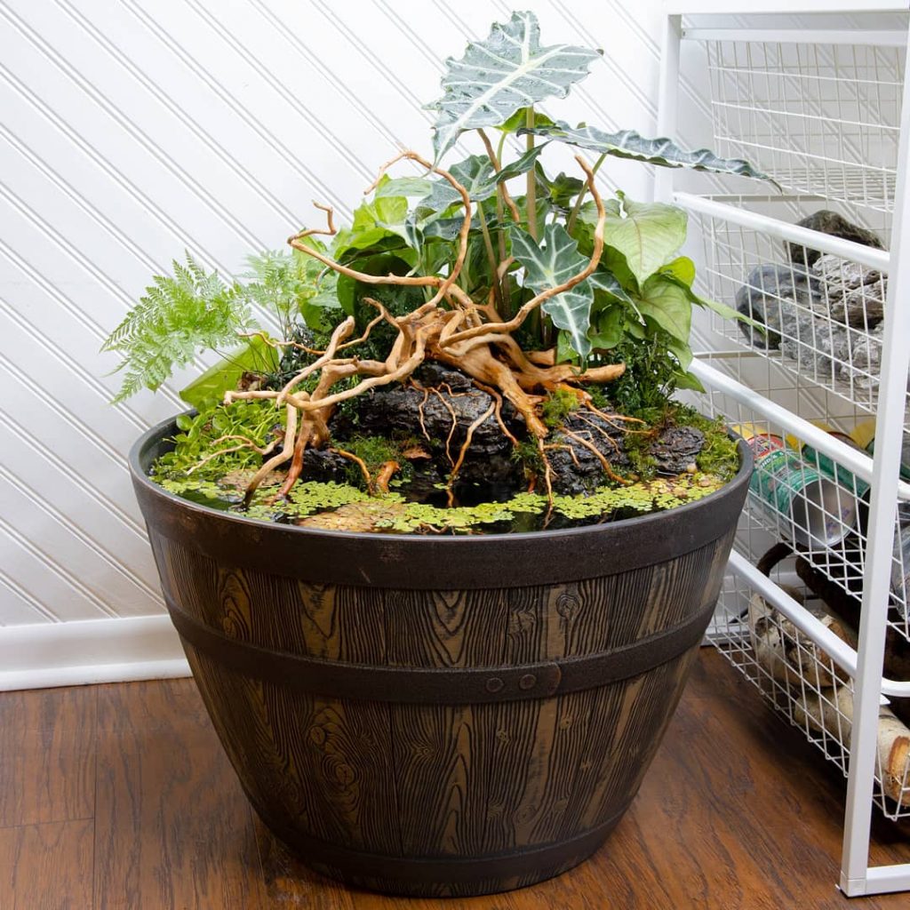 Mini indoor planter and patio ponds