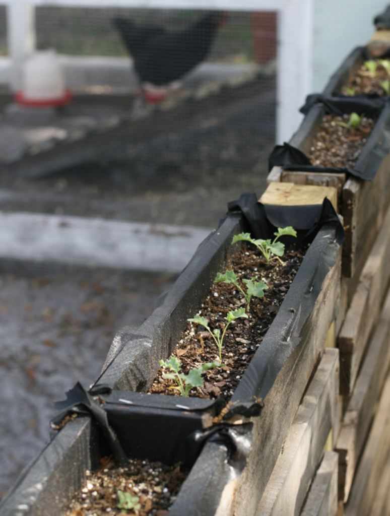 Pallet Planters for a Backyard Fence