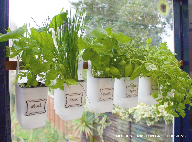 Plastic Milk Container Herb Garden