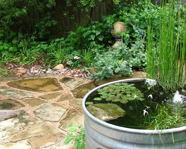 Pond Made from a Stock Tank