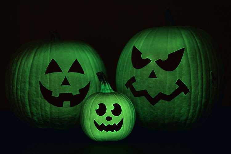 Pumpkins With a Nighttime Glow