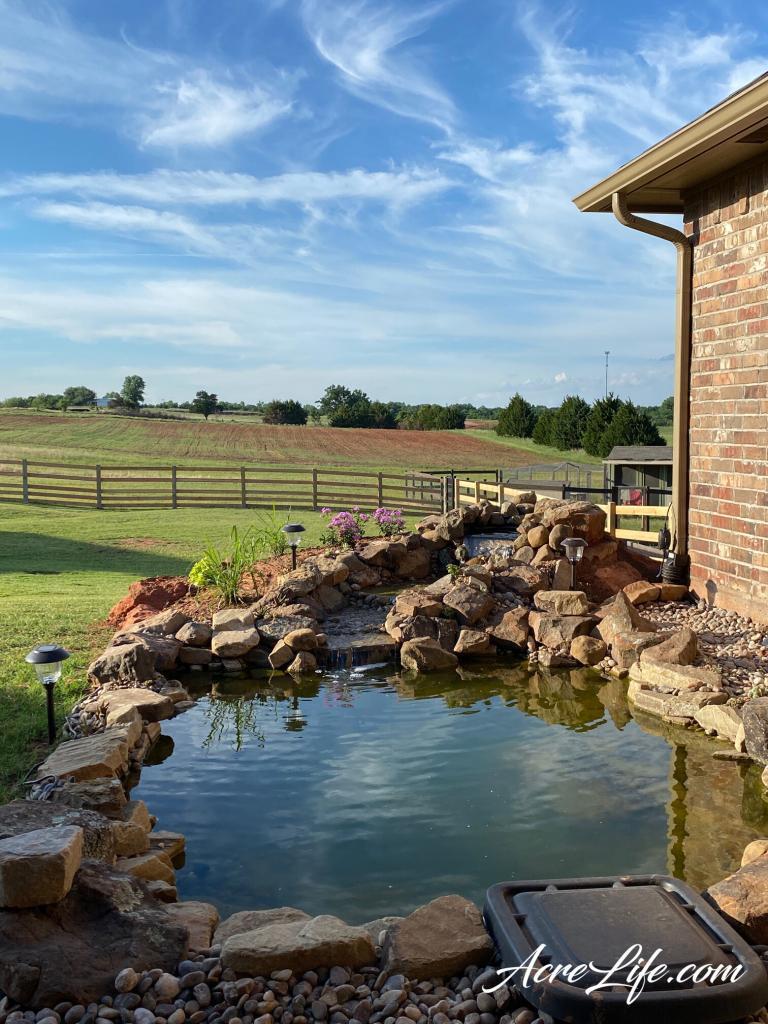 Scenic DIY Koi Pond