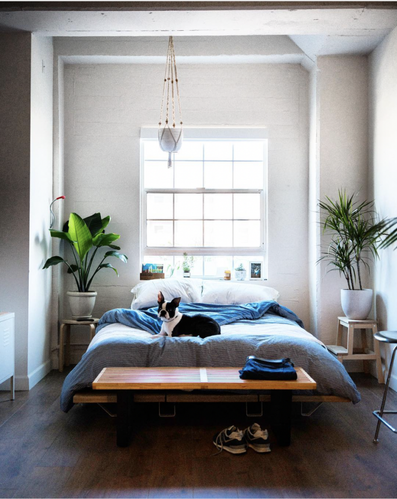 Small Bedroom Layout with a Large Window at the Bed's Back