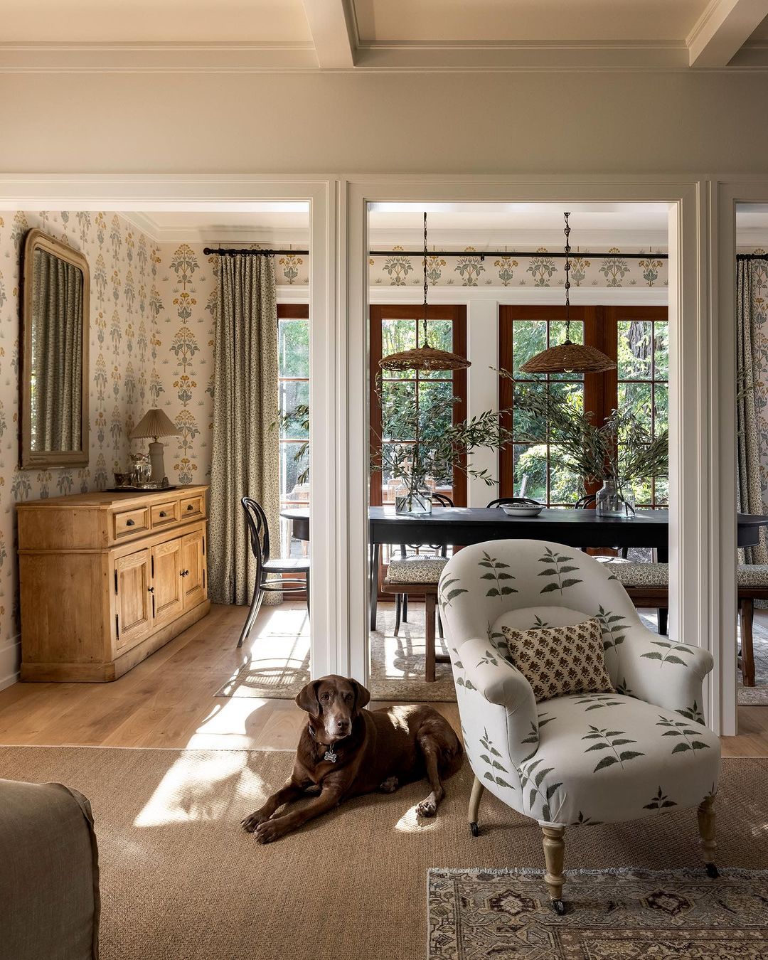 Sunlit Tranquil Room with a Canine Companion