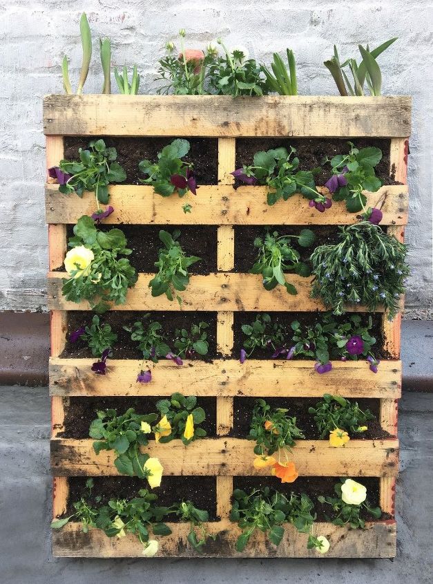 Vertical herb garden from a DIY pallet project