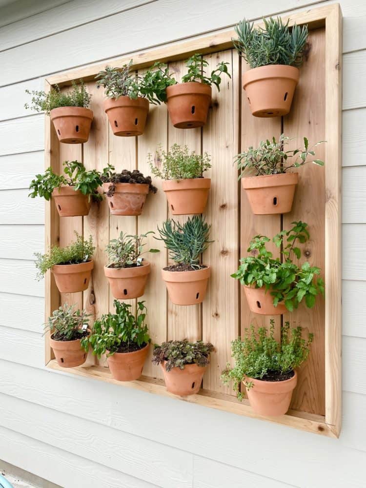 Vertical Herb Growing