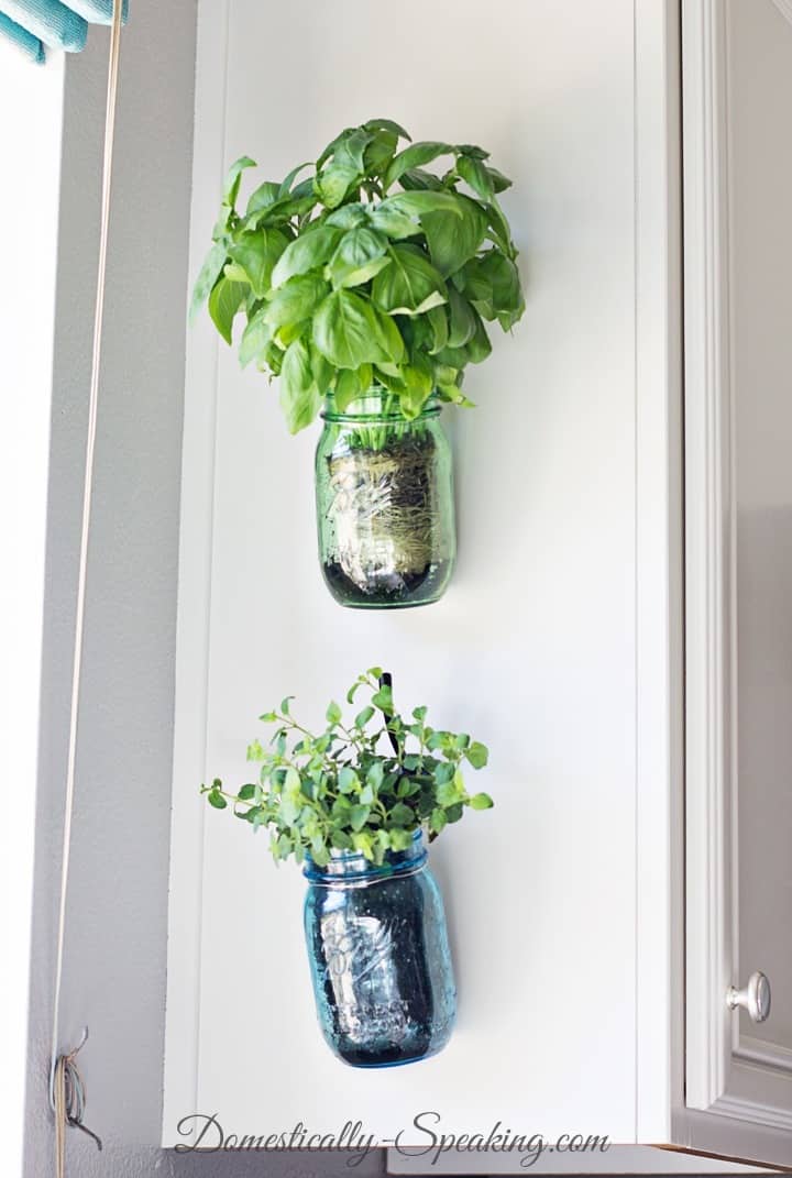 Vertical Herb Jars