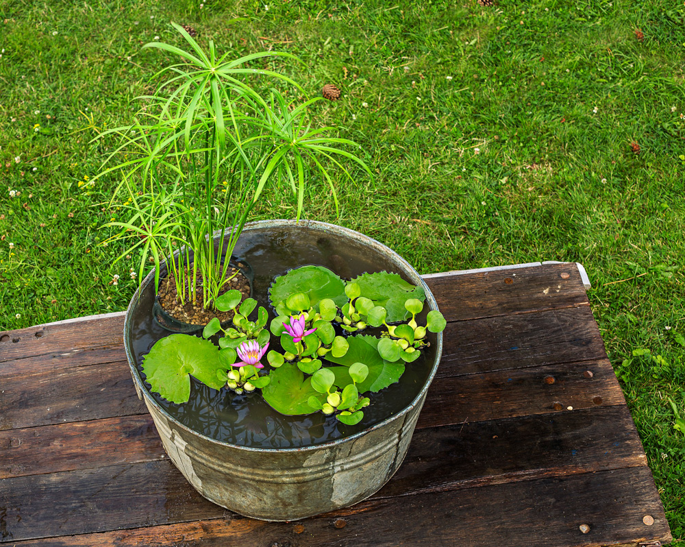 Vintage Aluminium Backyard Patio Pond