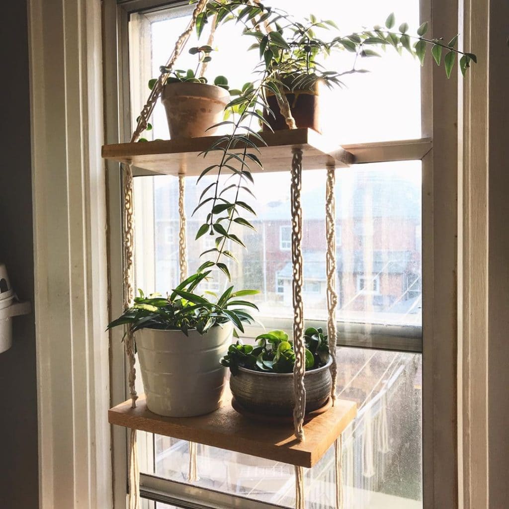 Window Shelves for Plants