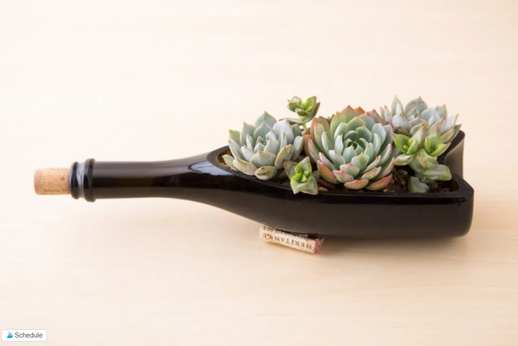 Wine Bottle Succulent Planter
