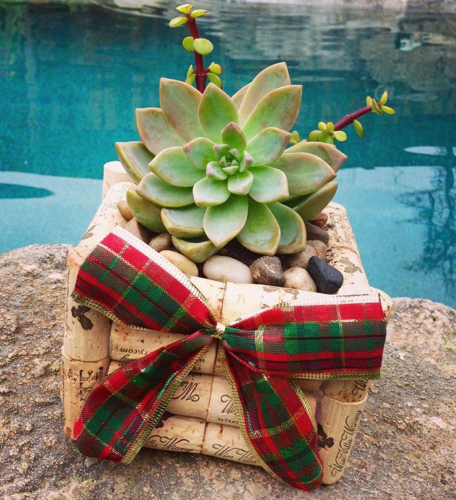 Wine Cork Succulent Crafts