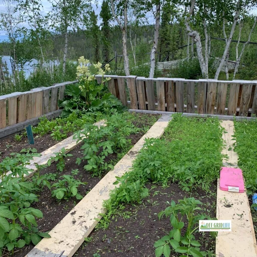 Wood Pallet Fence