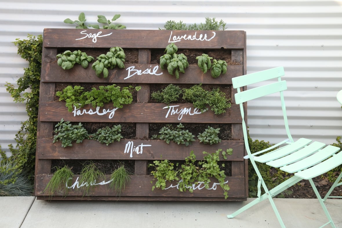 Wood pallet herbs for the backyard