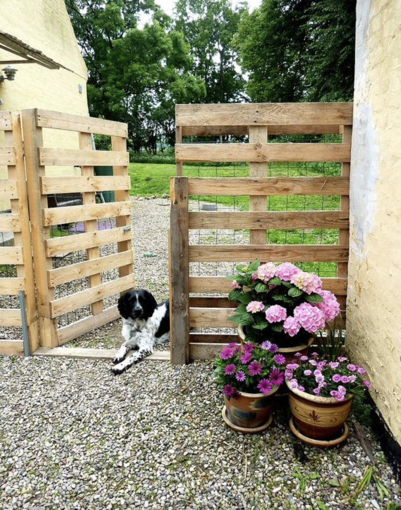 Zero Cost Pallet Fence